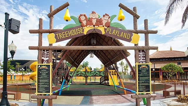 Treehouse Playland khám phá thế giới trong thân cây