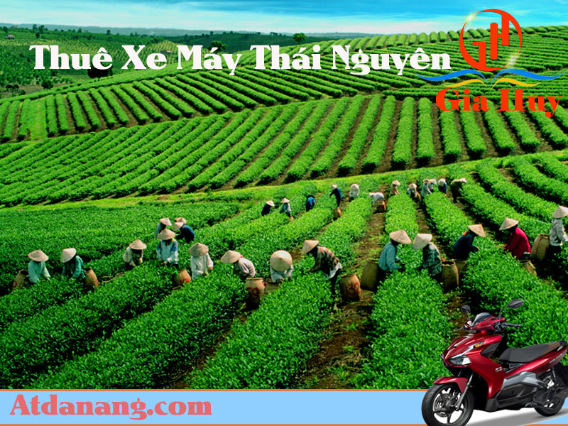 Thuê xe máy Thái Nguyên